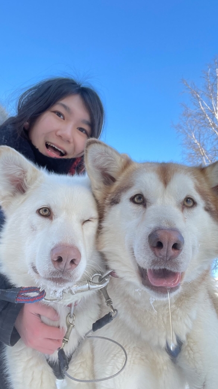 美狮美高梅